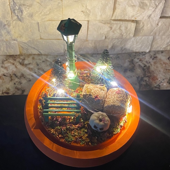 Fall themed Cloche - Picture 5 of 5